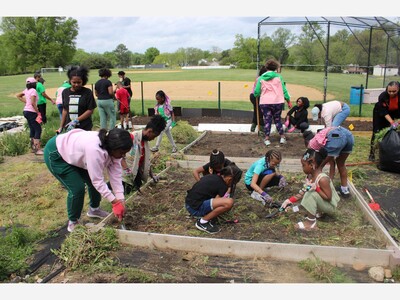 Psi Epsilon Omega Chapter of Alpha Kappa Alpha Sorority, Incorporated® Celebrates Earth Day by Supporting Breast Cancer Survivors