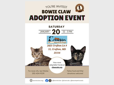Cat and Kitten Adoption Event 