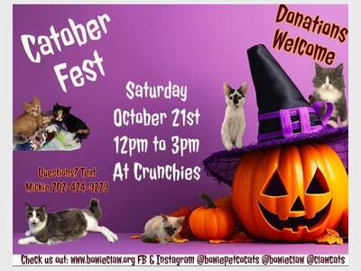 Catober Adoptions
