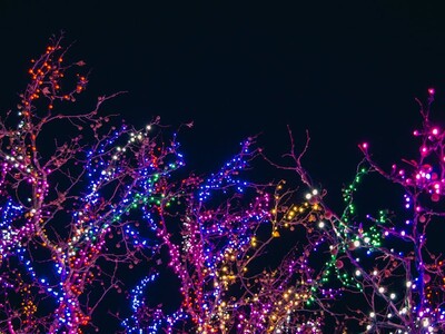Holiday House Decorating Contest
