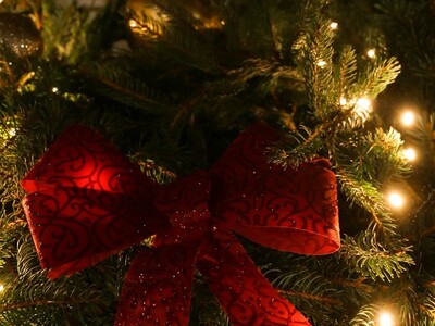 National Christmas Tree Lighting 